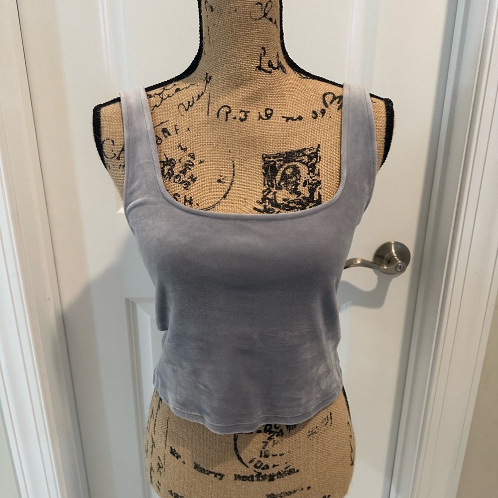 Express Silver Velvet Camisole